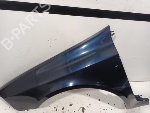 Used Left front fenders RENAULT LAGUNA II (BG0/1_) 1.9 dCi (BG1A, BG1V) (130 hp) 20930972