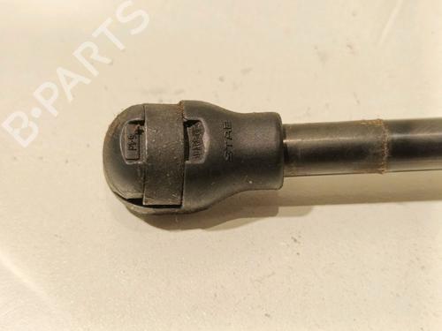 Tailgate lift support RENAULT CLIO V (B7_) 1.3 TCe 130 (B7MF) | BP16015510C138 