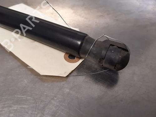 Tailgate lift support RENAULT MEGANE III Grandtour (KZ0/1) 1.5 dCi (KZ0C, KZ1A) | BP16039870C138