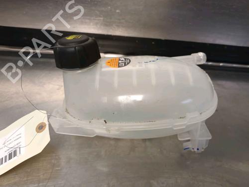 Used Expansion tank NISSAN JUKE (F16_) DIG-T 117 (117 hp) 30409514