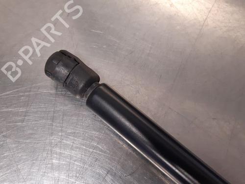 Tailgate lift support VW GOLF IV (1J1) 1.9 TDI | BP14868316C138 