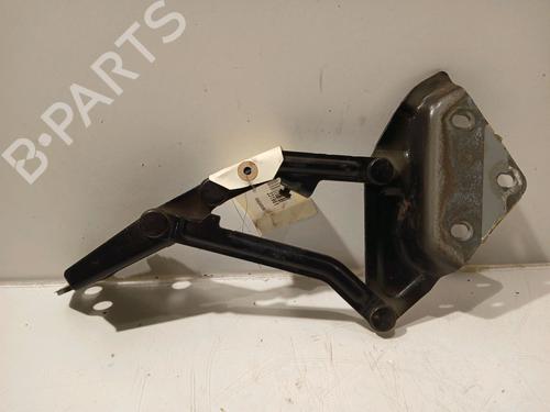 Hinge/Door check strap VW TOUAREG (7LA, 7L6, 7L7) 5.0 V10 TDI | BP17371134C146 