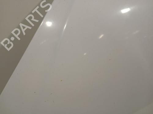 Hood PEUGEOT 307 (3A/C) 1.4 HDi | BP28312436C1 