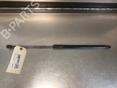 Used Tailgate lift support RENAULT CLIO V (B7_) 1.3 TCe 130 (B7MF) (131 hp) 14868381