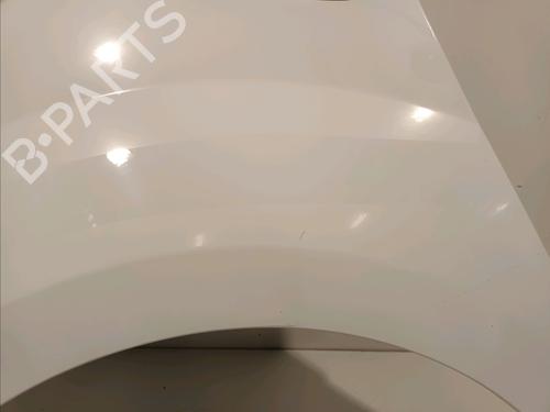 Left front fenders RENAULT KANGOO Express (FW0/1_) 1.5 dCi 85 (FW0K, FW0L, FW0B) | BP16155348C41 