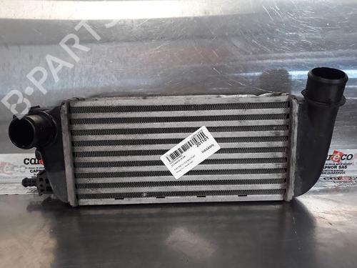 Used Intercooler FIAT 500 (312_) 1.3 D Multijet (312AXB1A) (75 hp) 14858657