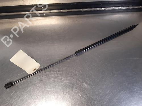 Pansergassdemper RENAULT MEGANE III Hatchback (BZ0/1_, B3_) 1.5 dCi (BZ09, BZ0D, BZ1W, BZ29, BZ14) (110 hp) 14866197