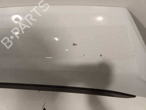 Hood FIAT DUCATO Platform/Chassis (250_) 130 Multijet 2,3 D | BP22616212C1 