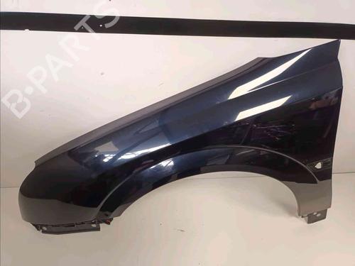 Left front fenders OPEL SIGNUM Hatchback (Z03) 1.9 CDTI (F48) 93172024