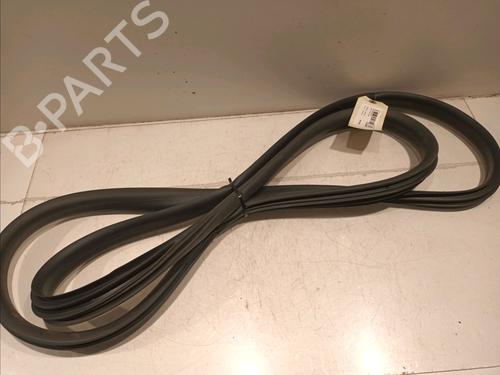Used Rubber door seal RENAULT ZOE (BFM_) ZOE (BFMD) (109 hp) 17214312