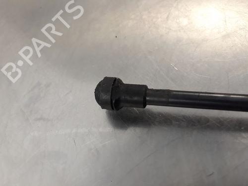 Hood lift support RENAULT SCÉNIC IV (J9_) 1.5 dCi 110 | BP20604873C139 