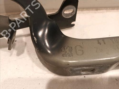 Hinge/Door check strap PEUGEOT 208 I (CA_, CC_) 1.2 VTi 68 / PureTech 68 | BP16892730C146