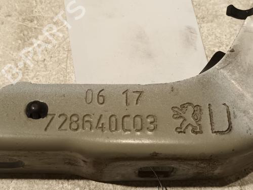 Hinge/Door check strap PEUGEOT 208 I (CA_, CC_) 1.6 HDi / BlueHDi 75 | BP20608971C146