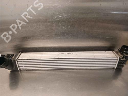 Used Intercooler RENAULT MEGANE III Hatchback (BZ0/1_, B3_) 1.5 dCi (BZ0C) (90 hp) 30338481