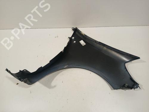 Left front fenders RENAULT CLIO III (BR0/1, CR0/1) 1.5 dCi (BR17, CR17) | BP28109845C41 
