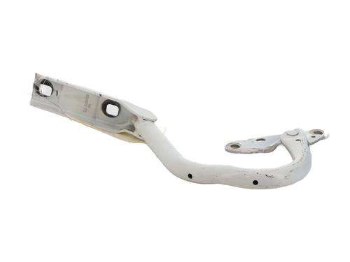 Hinge/Door check strap OPEL ZAFIRA TOURER C (P12) 2.0 CDTi (75) | BP30095490C146