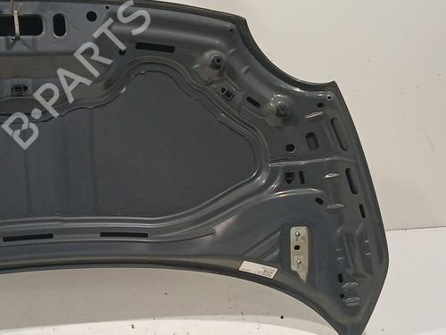 Hood FIAT 500 (312_) 0.9 (312AXG1A, 312.AXG11) | BP29696906C1