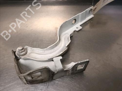Hinge/Door check strap FIAT TIPO Hatchback (356_, 357_) 1.4 (356HXA1B, 357) | BP14866109C146