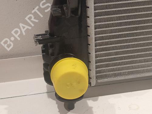 Water radiator RENAULT CLIO V (B7_) 1.6 E-TECH 145 (B7MU) | BP32515525M31