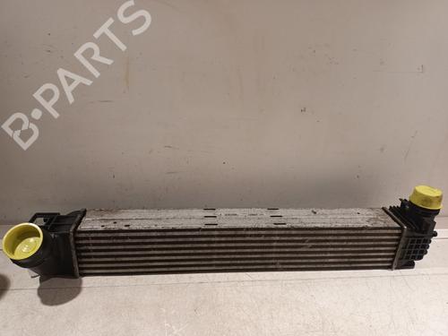 Used Intercooler RENAULT SCÉNIC III (JZ0/1_) 1.9 dCi (JZ0J, JZ1J, JZ1K, JZ1S) (131 hp) 23184857