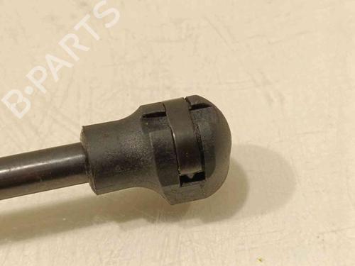 Hood lift support RENAULT EXPRESS Box Body/MPV  | BP20605241C139