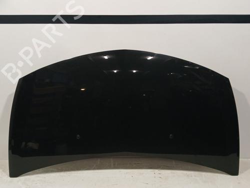 Used Hood RENAULT CLIO III (BR0/1, CR0/1) 1.5 dCi (C/BR0G, C/BR1G) (68 hp) 22251465
