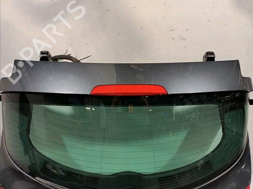 Tailgate RENAULT VEL SATIS (BJ0_) 2.2 dCi (BJ0E, BJ0F) | BP15492054C6 