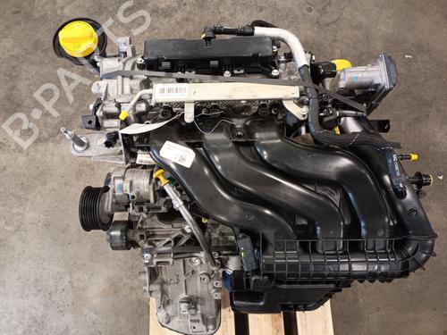 Engine RENAULT TWINGO III (BCM_, BCA_) 1.0 SCe 70 (BCMB) | BP20606781M1 