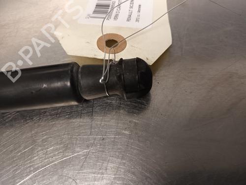 Hood lift support RENAULT SCÉNIC III (JZ0/1_) 1.6 16V (JZ0U, JZ1B) | BP20601665C139 