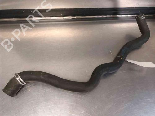 Used Pipe RENAULT LAGUNA III (BT0/1) 2.0 GT (204 hp) 20603240