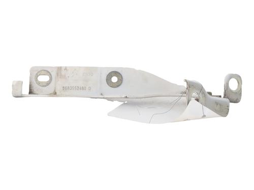 hingedoor-check-strap-citroen-c3-ii-sc_-2009-39603340 main image