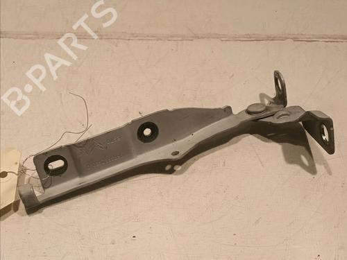 Used Hinge/Door check strap CITROËN DS3 (SA_) 1.6 BlueHDi 100 (99 hp) 16486968