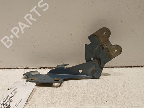 Used Hinge/Door check strap RENAULT LAGUNA II (BG0/1_) 1.8 16V (BG04, BG0B, BG0C, BG0V) (117 hp) 20608917