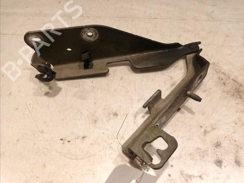 Hinge/Door check strap CITROËN C3 I (FC_, FN_) 1.4 HDi | BP16159073C146 