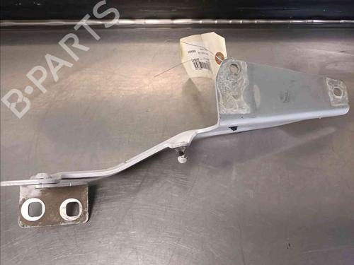 Hinge/Door check strap RENAULT KANGOO Express (FW0/1_)  | BP21083750C146 