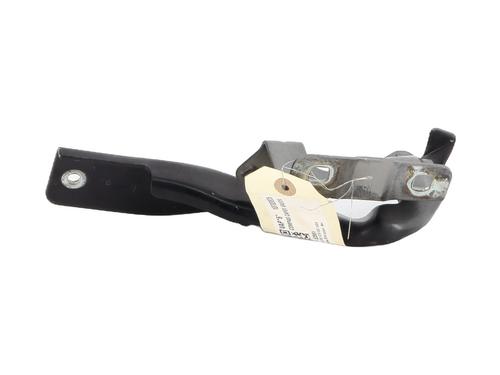 Hinge/Door check strap RENAULT KOLEOS I (HY_) 2.0 dCi (HY0K) | BP27375402C146 