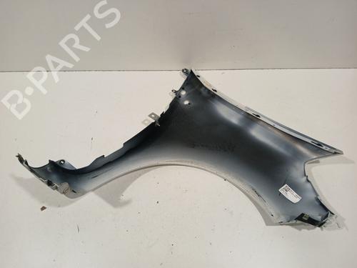 Left front fenders RENAULT CLIO III (BR0/1, CR0/1) 1.5 dCi (C/BR0G, C/BR1G) | BP28138687C41 