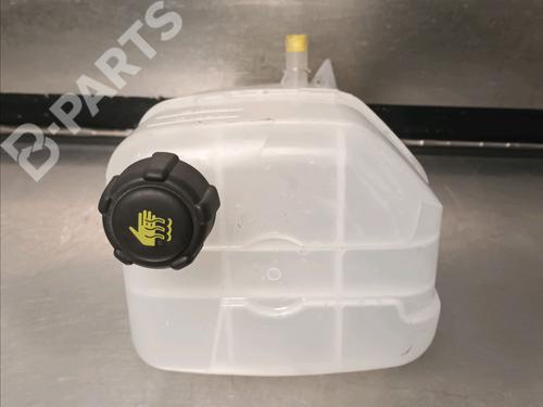 Expansion tank RENAULT KANGOO Express (FW0/1_) 1.5 dCi 85 (FW0K, FW0L, FW0B) | BP11031799C120 