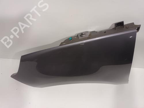 Left front fenders RENAULT SCÉNIC III (JZ0/1_) 1.9 dCi (JZ0J, JZ1J, JZ1K, JZ1S) | BP23141844C41 