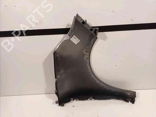 Left front fenders RENAULT SCÉNIC III (JZ0/1_) 1.9 dCi (JZ0J, JZ1J, JZ1K, JZ1S) | BP20604890C41 