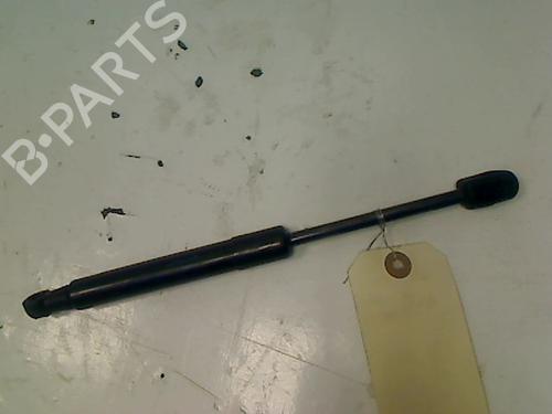 Used Hood lift support RENAULT SCÉNIC III (JZ0/1_) 1.5 dCi (110 hp) 14866128