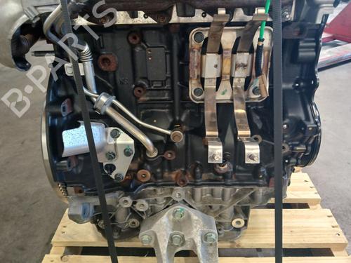 Engine RENAULT KOLEOS II (HC_) | BP38553272M1 - Image 13