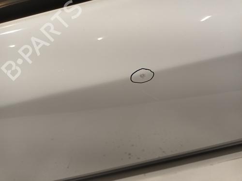 Left front door RENAULT KANGOO Express (FW0/1_) 1.5 dCi 110 (FW0C, FW0H) | BP32358027C2