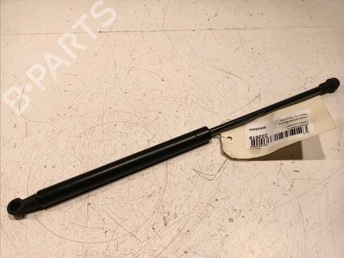 Used Hood lift support LAND ROVER RANGE ROVER SPORT I (L320) 2.7 D 4x4 (190 hp) 18204211