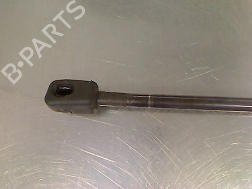 Hood lift support RENAULT MEGANE III Hatchback (BZ0/1_, B3_) 1.5 dCi | BP14866161C139 