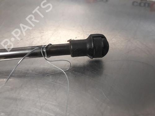 Tailgate lift support PEUGEOT 107 (PM_, PN_) 1.0 | BP14867928C138