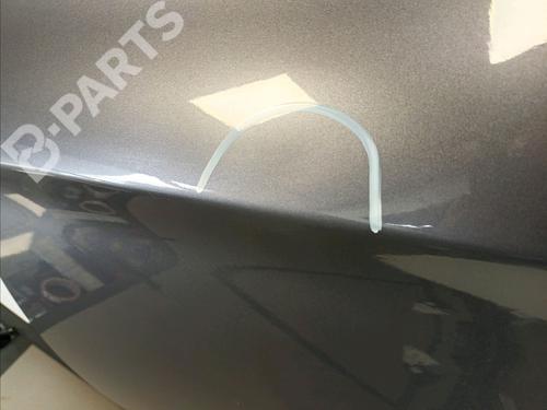 Left rear door HYUNDAI i20 I (PB, PBT) 1.4 CRDi | BP9659016C4 