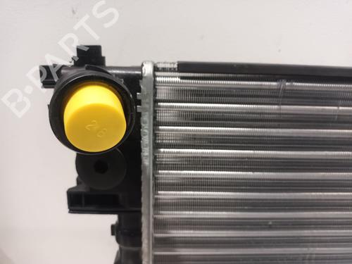 Water radiator PEUGEOT 306 Hatchback (7A, 7C, N3, N5) 1.6 | BP30870962M31