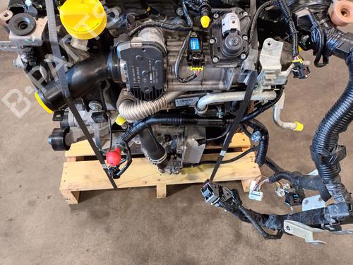 Engine RENAULT KOLEOS I (HY_) 2.0 dCi 4x4 (HY0B) | BP38231857M1 - Image 2