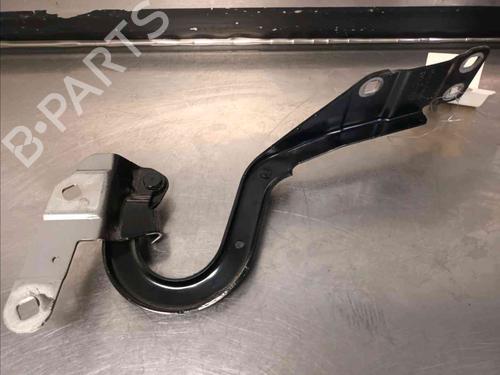 Hinge/Door check strap RENAULT ESPACE V (JR_)  | BP21587439C146 
